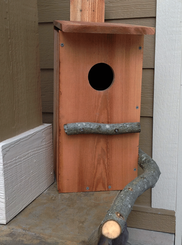 owl-birdhouse-with-limb-perch