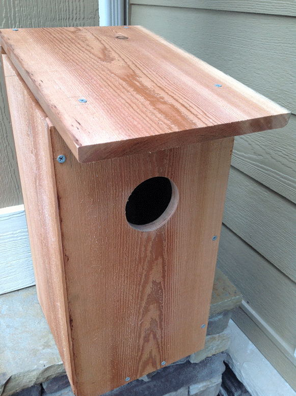 screech owl nesting birdhouse